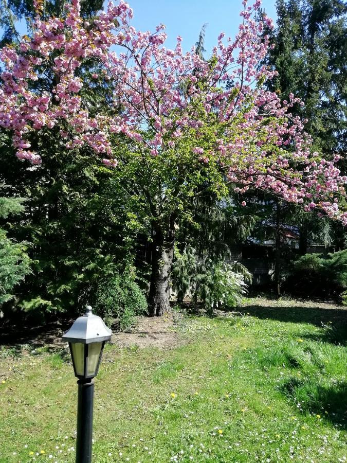Villa Andy Prag Dış mekan fotoğraf